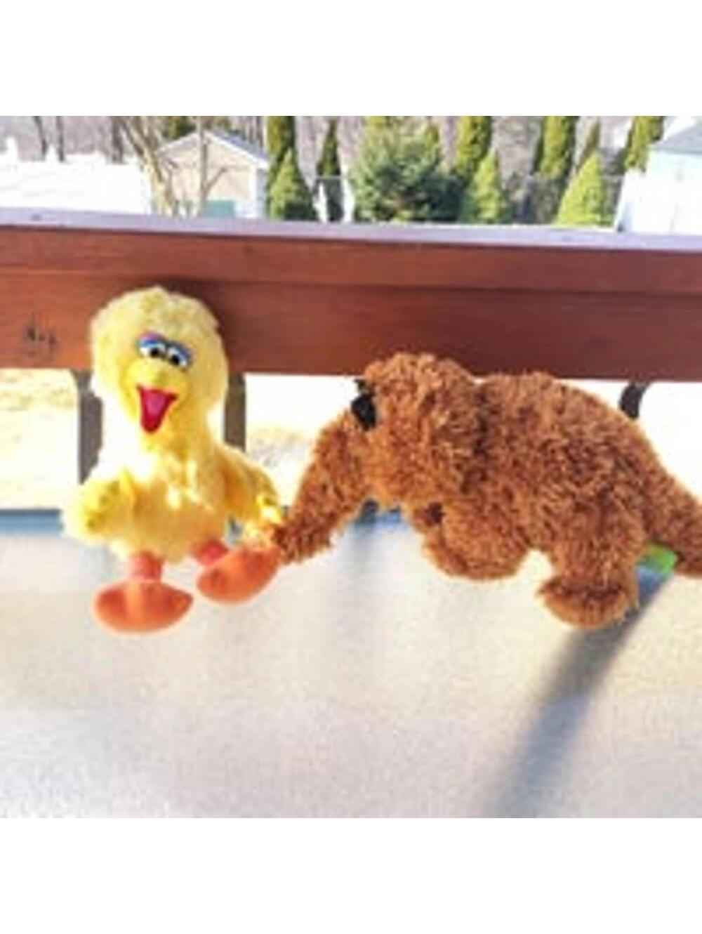 Sesame Street Plush Lot of 7 Elmo and Friends Plushes - Picture 7 of 12